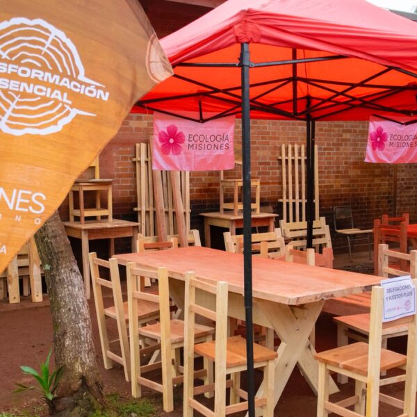 El Ministerio de Ecología fortalece su sistema interno para centralizar datos, reforzar la trazabilidad y mejorar la gestión forestal