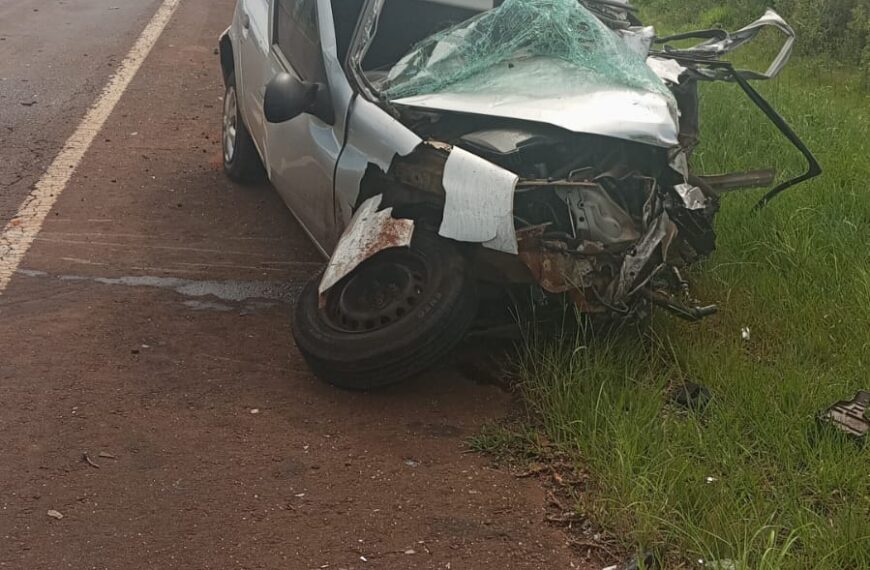 Choque frontal en la Ruta Nacional 12 dejó una víctima fatal