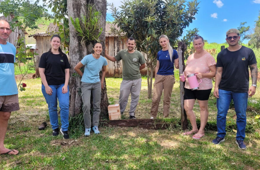 Impulsados por el IMiBio, nuevos productores de El Soberbio apuestan a la meliponicultura