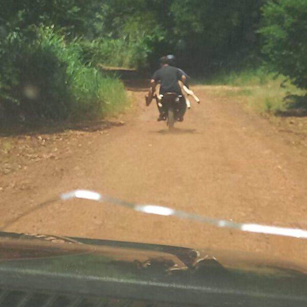 Huían en moto con un ternero robado y fueron atrapados tras una persecución policial