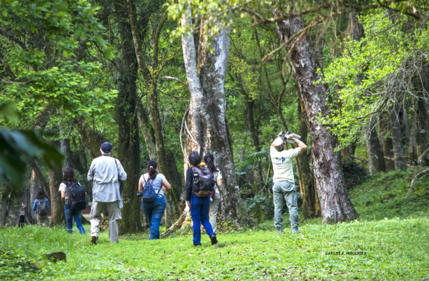 Entre senderos y aves: Oberá será escenario de una jornada para conectar con la naturaleza misionera
