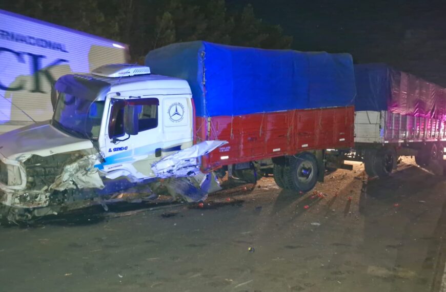 Falleció un automovilista tras un siniestro vial en la Ruta Nacional 105 (CON VIDEO)