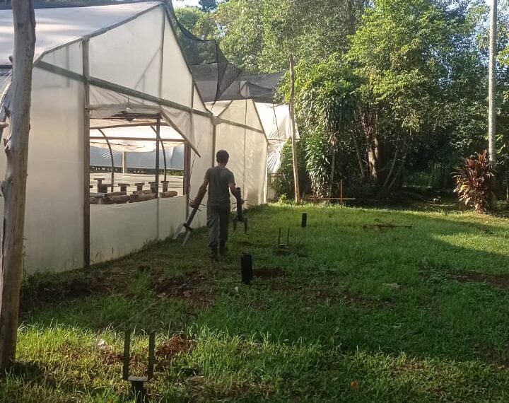 Comenzaron a construir una nueva plantinera dentro del Vivero Municipal