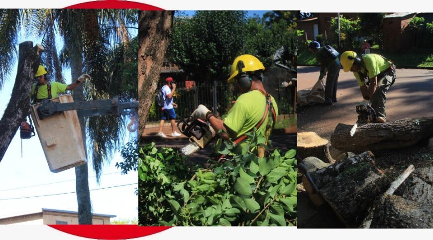 En el barrio Eldorado II se llevó adelante el Operativo Ambiental de Alto Impacto