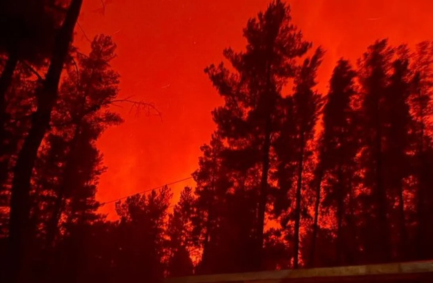 Acusan a Milei de “desfinanciar” el Servicio Nacional del Manejo del Fuego