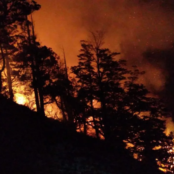 Incendio en Los Alerces: operativo de emergencia para proteger viviendas y servicios turísticos