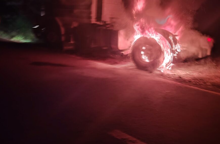 Piñalito Norte: controlaron el incendio de un camión sobre la Ruta Nacional 101