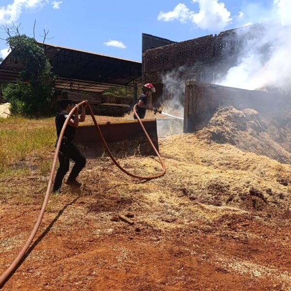Fueron controlaros incendios en Hipólito Yrigoyen y en Campo Grande