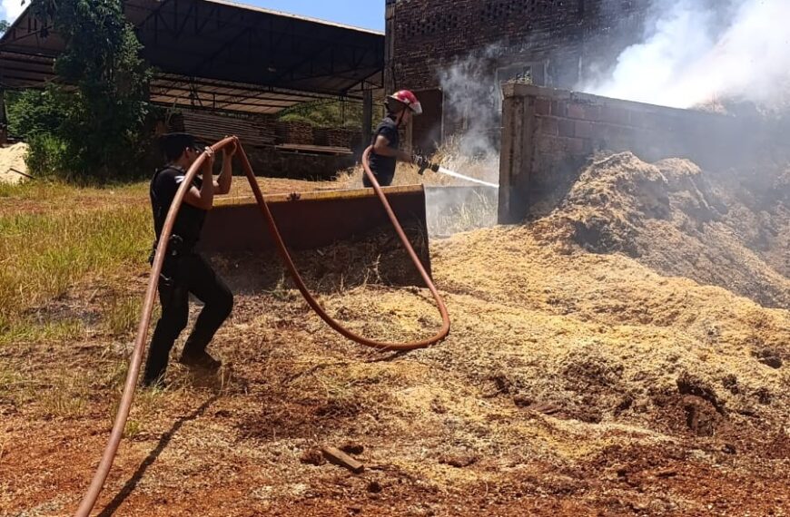 Fueron controlaros incendios en Hipólito Yrigoyen y en Campo Grande