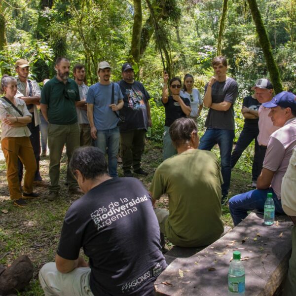 Del robo de madera a la gestión integral: el Parque Provincial Piñalito Sur fortalece su integración con la comunidad a través de una agenda que involucra el turismo, el deporte y la cultura