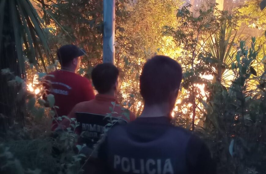 Controlaron un Incendio forestal en una plantación de eucaliptos en Santo Pipó