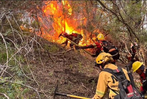 Vocación y entrega: brigadistas misioneros brindan apoyo en el combate de incendios en la Patagonia