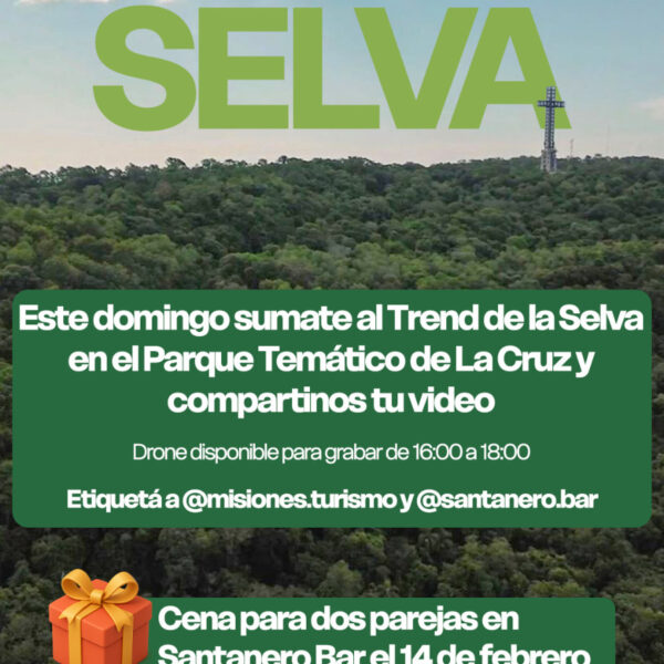 Trend de la selva: Convocatoria abierta en el Parque de la Cruz