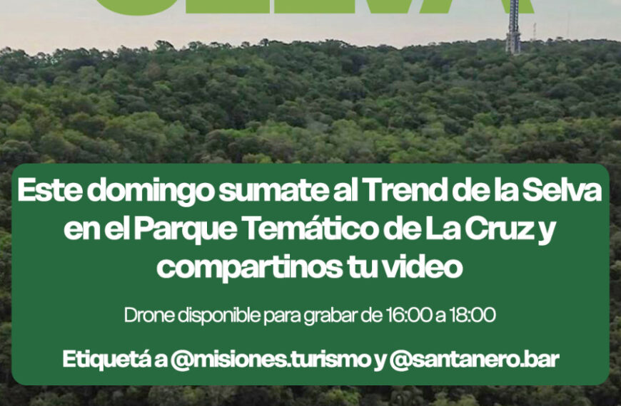 Trend de la selva: Convocatoria abierta en el Parque de la Cruz