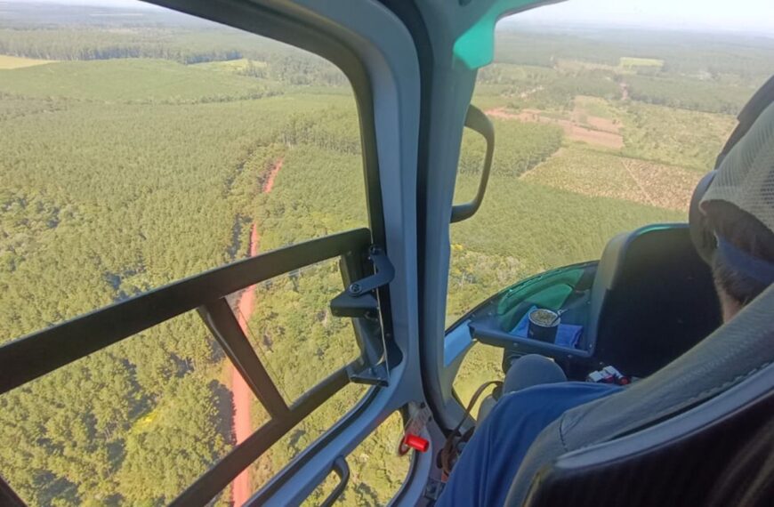 El Ministerio de Ecología realizó un control aéreo de diagnóstico en zonas de alto riesgo de incendios en la provincia