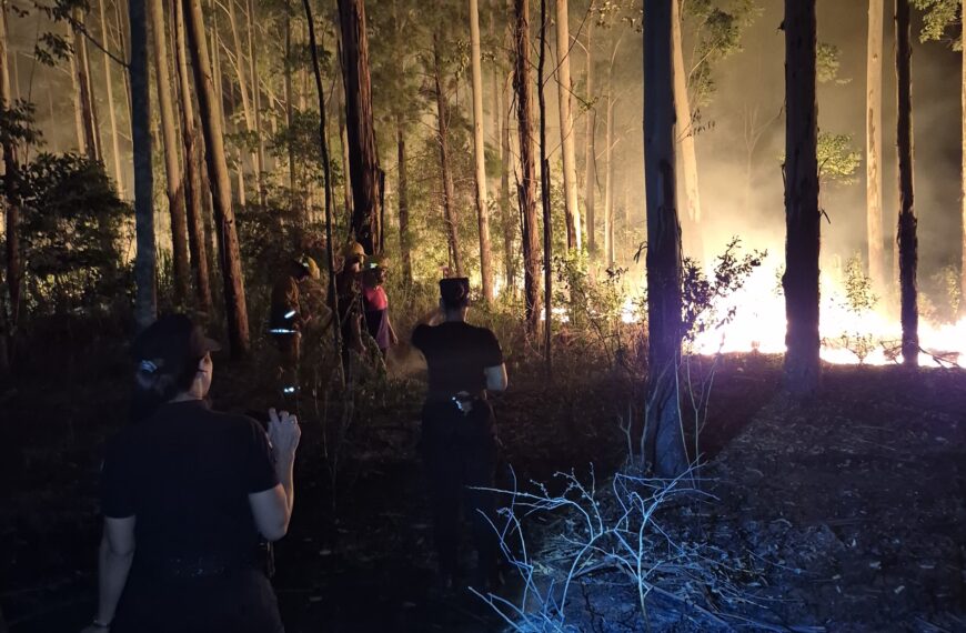 Controlaron incendios forestales en Garupá y 25 de Mayo