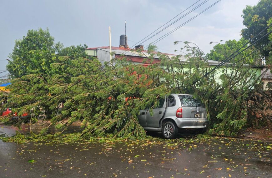 Jardín América: Tormenta con fuertes ráfagas de viento provocó múltiples daños (CON VIDEOS)