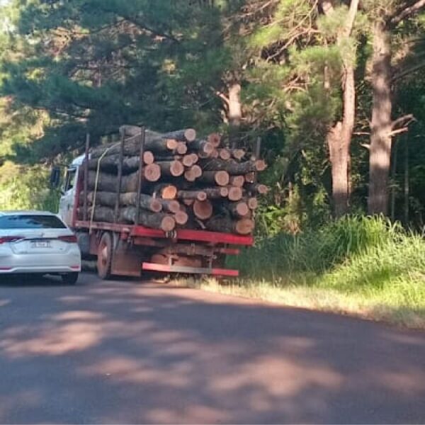 Operativos simultáneos de control forestal en zona centro y sur de la provincia