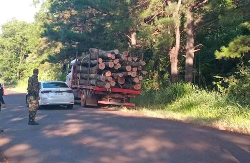 Operativos simultáneos de control forestal en zona centro y sur de la provincia