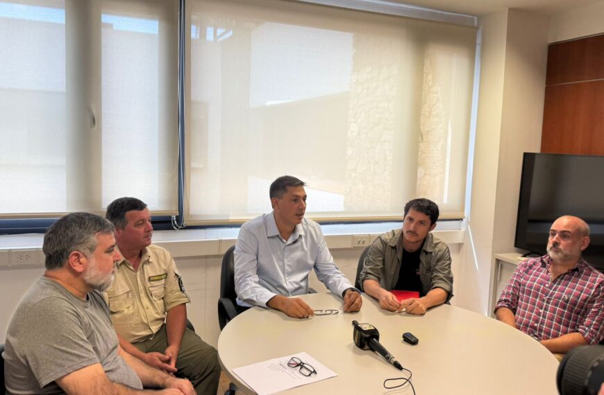 Tras su relocalización, tecnología de seguimiento asegura el bienestar de “Pará” en la selva misionera