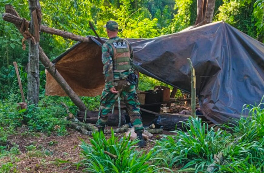 La Dirección de Control Forestal realizó un amplio operativo en la provincia