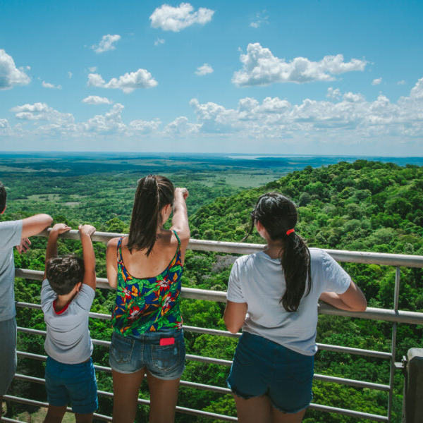 Trend de la selva: Convocatoria abierta en el Parque de la Cruz