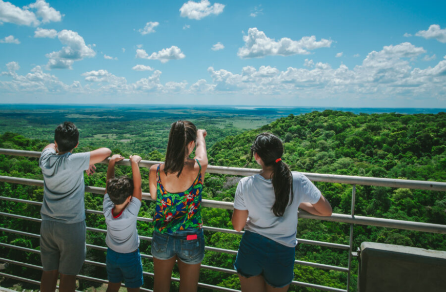 Trend de la selva: Convocatoria abierta en el Parque de la Cruz