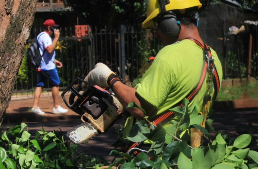 Operativo Ambiental de Alto Impacto en Eldorado 6 y 9