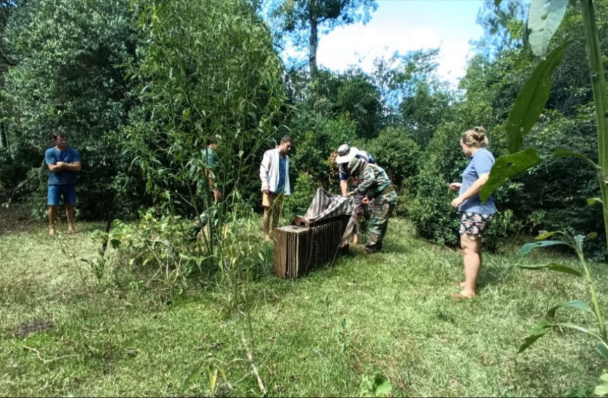 Más de 2.500 especies naturales diferentes fueron registradas en sólo 4 días en el Safari de Verano 2026 