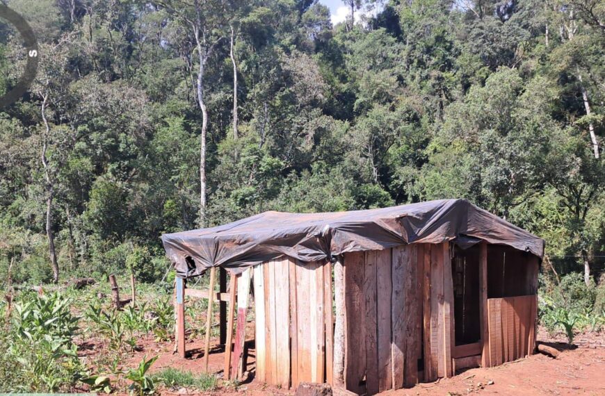 Detectan usurpación en un lote rural de San Pedro y secuestran un arma de fuego y una motocicleta