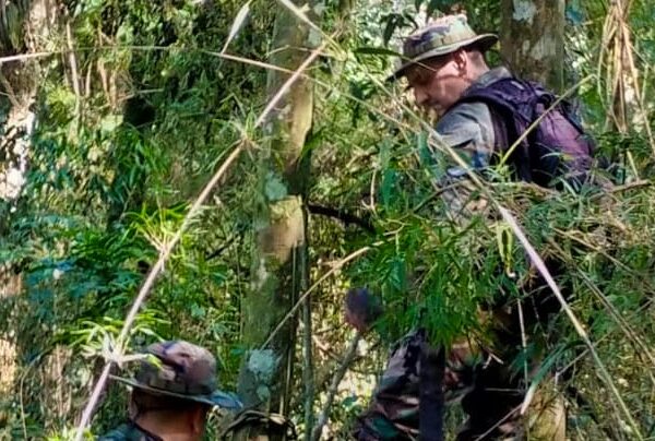 Operativo de control en el Parque Salto Encantado permitió detectar y desarmar estructuras utilizadas para la caza furtiva