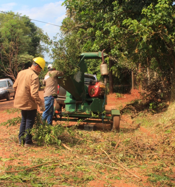 Operativo de alto Impacto Ambiental